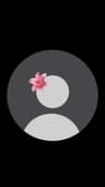 Profile picture of who turned on the floodlights?