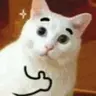 Profile picture of DRXW